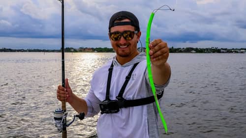 Catching One Of The Most Aggressive Fish In The World