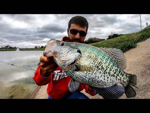 I FOUND MONSTER SPRING CRAPPIE!