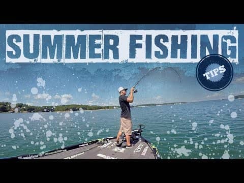 Summer Bass Fishing Tips and CATCHES !