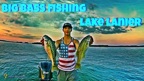 Spring Spotted Bass Fishing Lake Lanier ~ May 2015 ( Fish Head Spin, and Wobble Head )