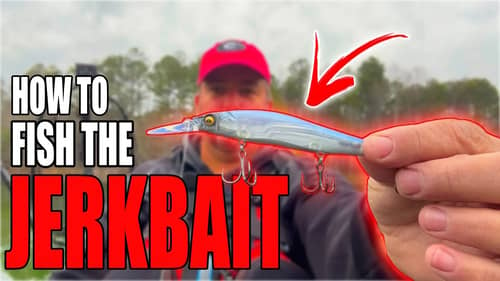 The Ultimate Guide To Jerkbait Fishing: Tips and Tricks