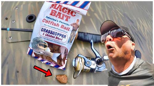 A Simple Way To Catch Catfish With Magic Bait From Walmart