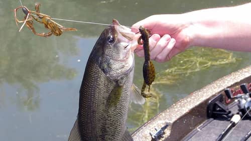 How To Keep Your Bait From Sliding Down The Hook | Bass Fishing