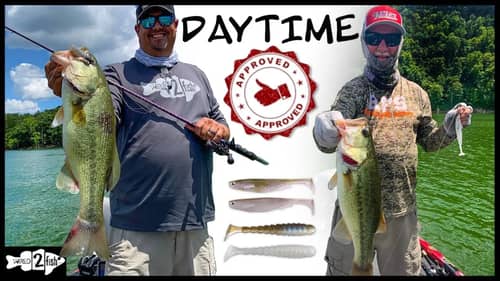 Summer Bass Fishing with Swimbaits (GREAT 100 DEGREE DAY)