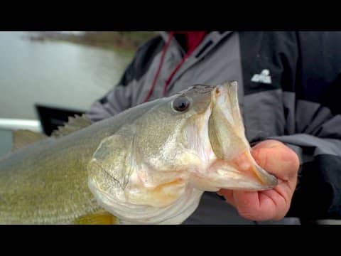 Luckiest Fish Catch -- Spring Fishing on Lake Fork