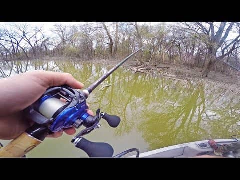 How Big Was That Fish? -- (Flipping BIG Trees For Spring Bass)