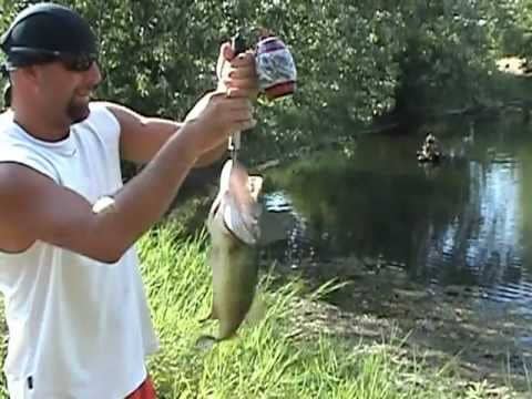 Pond fishing:  3 3/4 lb Bass on Strike King Rage Toad