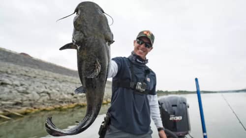 Huge Catfish! - Fishing Rocks with Diving Plugs