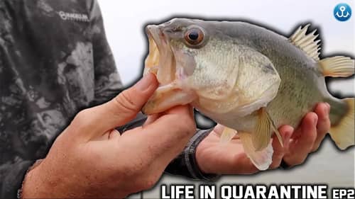 Life in Quarantine: Episode 2 - Aluminum boat saves the day