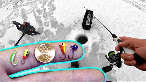 MICRO Lure Ice Fishing Challenge!!! (BIG CATCH)