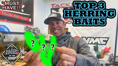Top 3 Lures to Imitate Blue Back Herring: Tips and Techniques