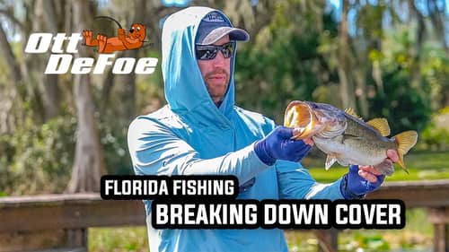 Breaking Down Cover Types In Florida