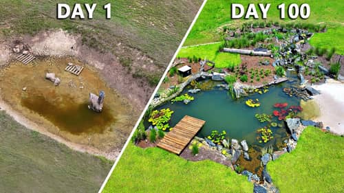 I Built a Wildlife Pond (Day 1 vs Day 100)