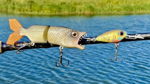 Pike Eating a CrankBait Lure | One Day Build to Catch