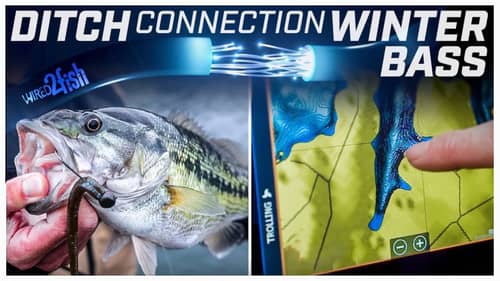 The Ditch Connection for Winter Bass | Location and Lures