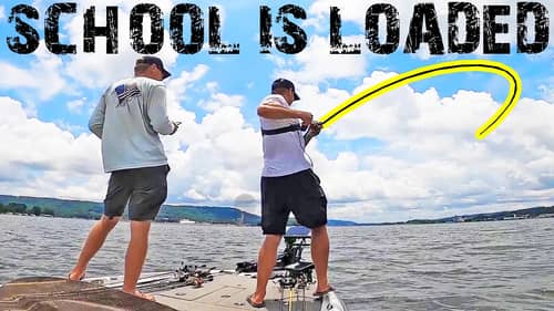 Fishing SCHOOLING Bass on Lake Guntersville! (LOADED)