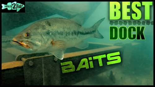 5 Go-To Baits and Rod Setups for Dock Fishing Bass