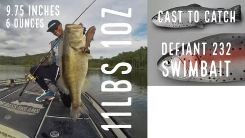 11 pound Bass on 9.75" Swimbait - Defiant 247 Swimbait Cast to Catch
