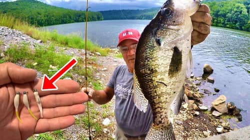 MASSIVE CRAPPIE! Catch MORE Summer Crappie From The Bank With THESE Tips!