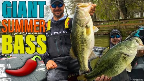 How to Fish for BIG Summer Bass - Christie Fishing Tips