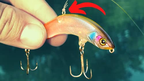 This NEW Japanese LURE Is A WACKY RIGGED TOPWATER?? (The PikuPiku)
