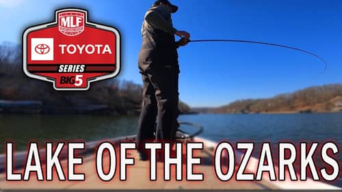 Lake of the Ozarks Toyota Series | 2021 MLF FLW