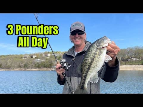 The Easiest Way To Catch 3+ Pound Bass…