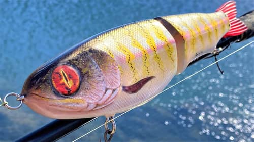 Eye of Sauron Trout | One SwimBait to Rule Them All