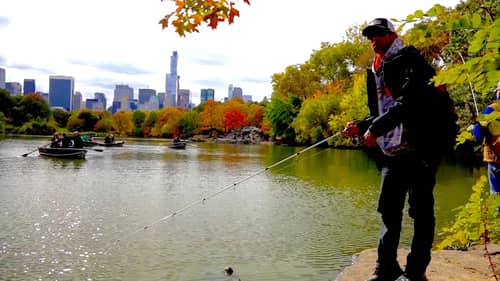 GOING IKE!!! Bank Fishing in Central Park (Ep. #7)