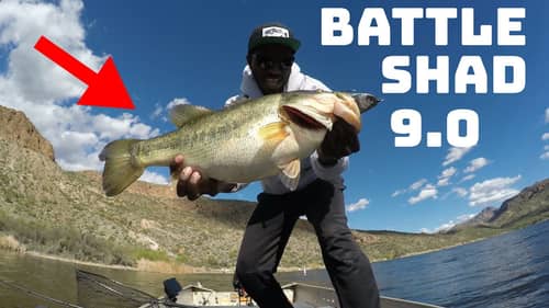 Chasing The One // Long Casts For Big Bites // Battle Shad 9.0