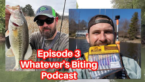 February was AMAZING!!   Episode 3 Whatever's Biting Podcast