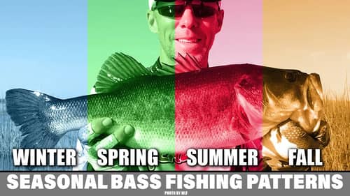 Seasonal Bass Fishing Patterns & Behavior - Aaron Martens