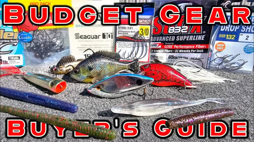 SPRING BUYER'S GUIDE: BEST BUDGET BAITS FOR BASS FISHING!