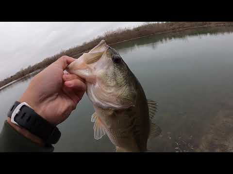 Cold Front Wintertime Bass Fishing