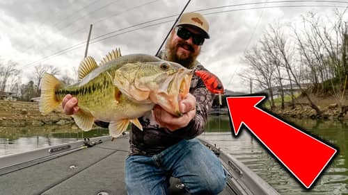 Spring Bass Fishing Is Awesome! (Catching Them On Everything In The Boat!)