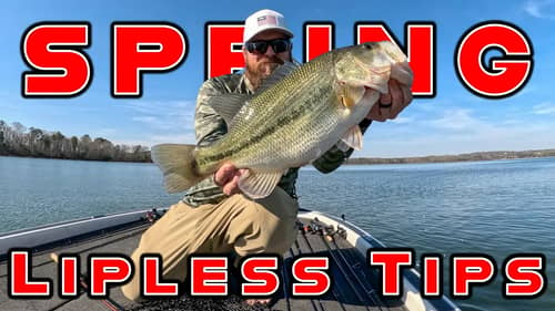 Lipless Crankbait Tricks and Spring Bass Fishing Tips!