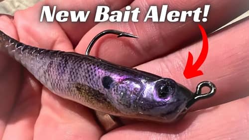 New Fishing Bait Review! Berkley Paddlin’ Power Stinger!