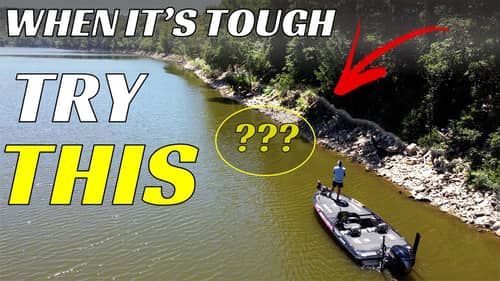 Stop Wasting Time When Fishing In The Summer | Summer Fishing Tips For More Success