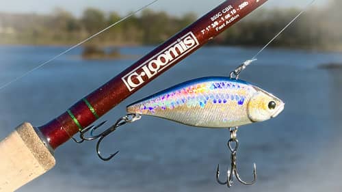 LIPLESS CRANKBAITS - Everything You Need To Know! (Beginner To Advanced)