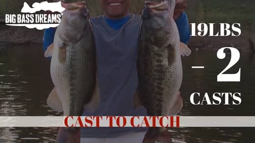 19lbs of Bass for 2 casts! Cast to Catch