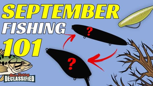 Don’t Go To The Lake Without These Baits In September!