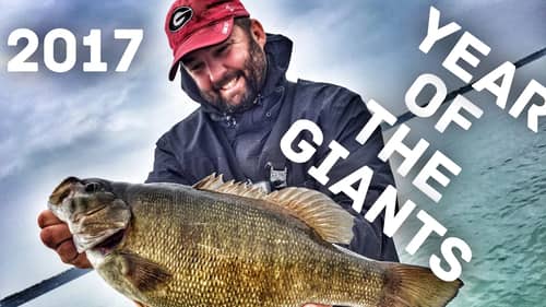 2017 Lookback - The year of the Giant Fish - Fishing Highlights