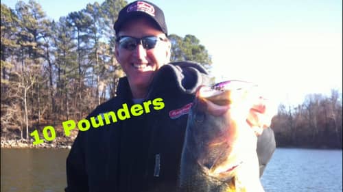 I Know Exactly Why You Are Not Catching Many Big Bass…