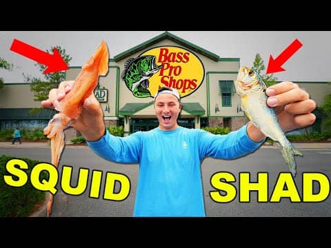 Bass Pro Shops Live Bait Fishing Challenge! (Squid vs Shad vs Worms)