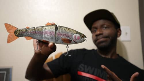I Waited 10 Years To Get This $1000 Swimbait, Was It Worth It?