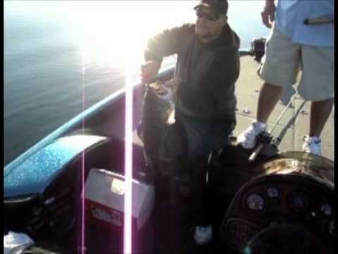 Angler lands 13 1/2-pound Florida bass