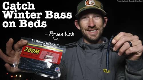 How to Fish for Bass on Spawning Beds