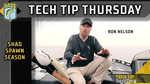 Tech Tip Thursday - Ron Nelson's approach for the shad spawn