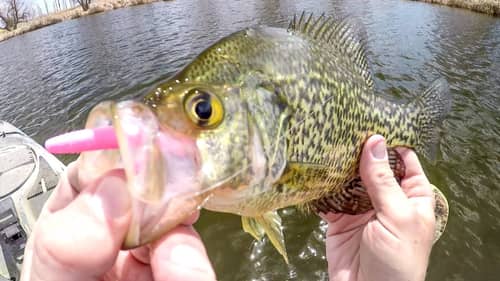 Search Kayak%20fishing%20for%20crappie Fishing Videos on