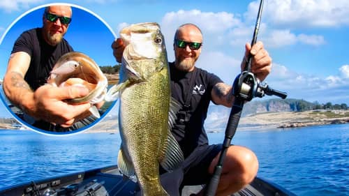 GIANT Pre-Spawn Largemouth Bass Eats My FAVORITE New Bait! Fishing In Texas Is Getting GOOD!